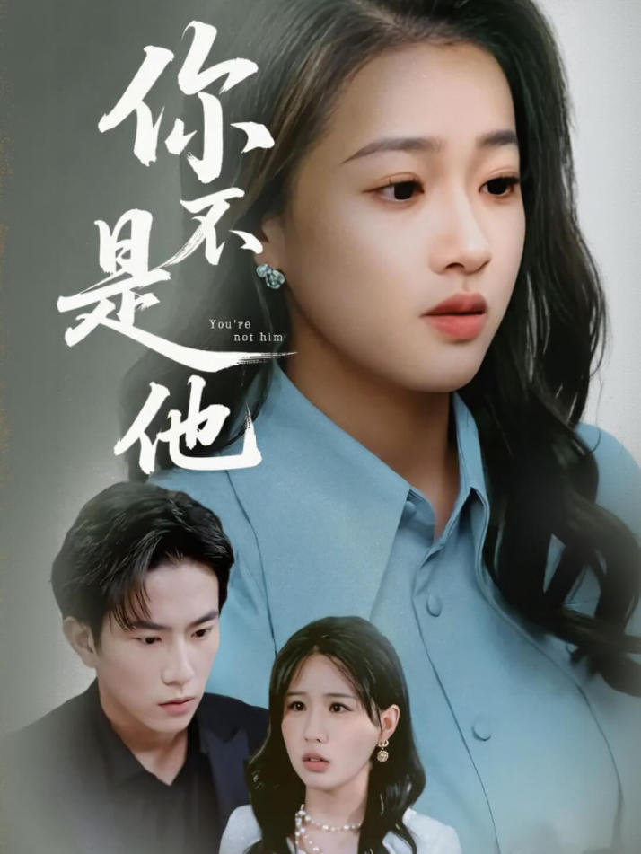 你不是他