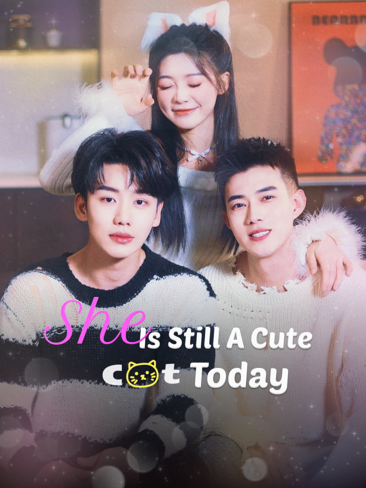 She Is still a Cute Cat Today